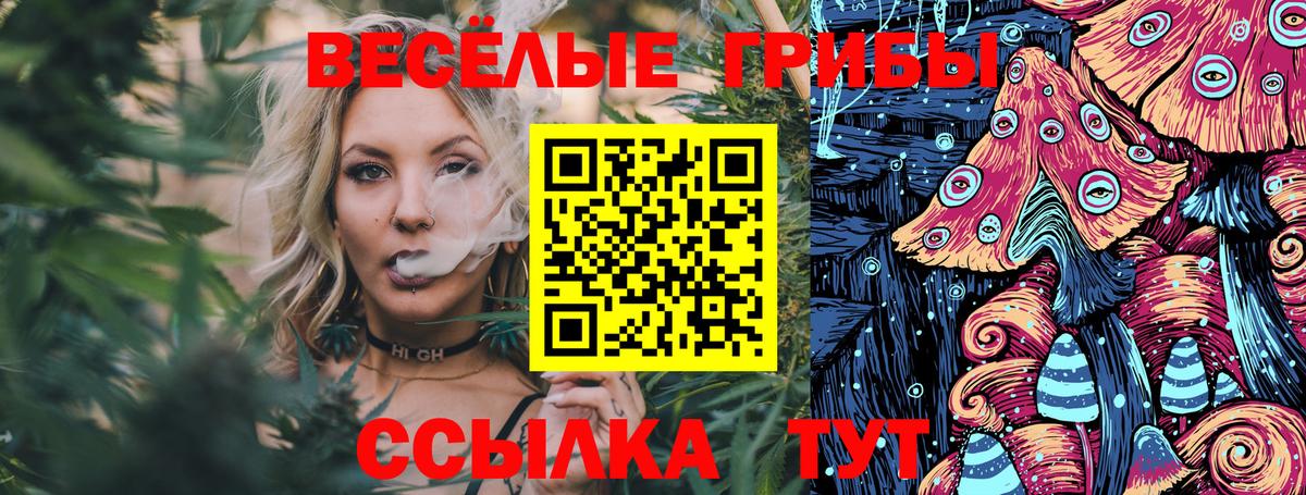 Галлюциногенные грибы прущие грибы  Галлюциногенные грибы мицелий  Брянск  Вход с VPN 