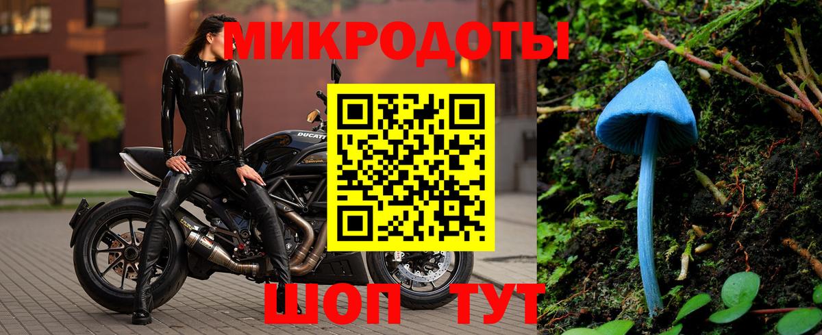 Галлюциногенные грибы мухоморы Брянск